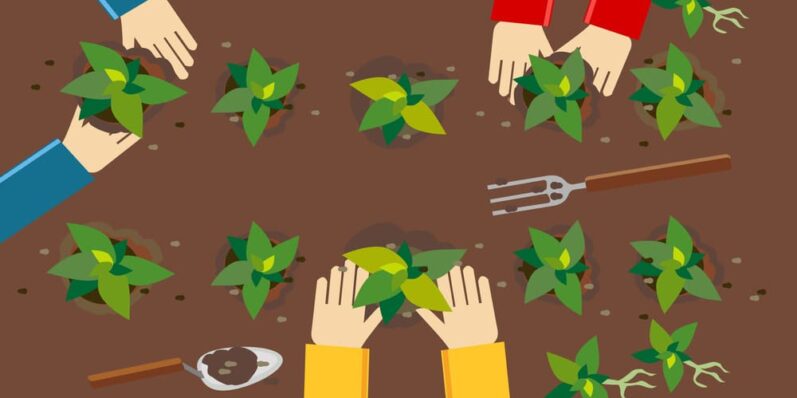 agricultores cultivando na lavoura protegidos com o seguro agrícola de lavoura