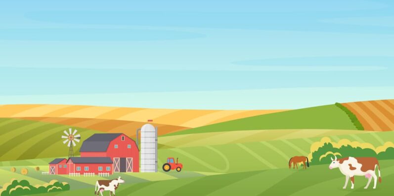 Fazenda com seguro rural