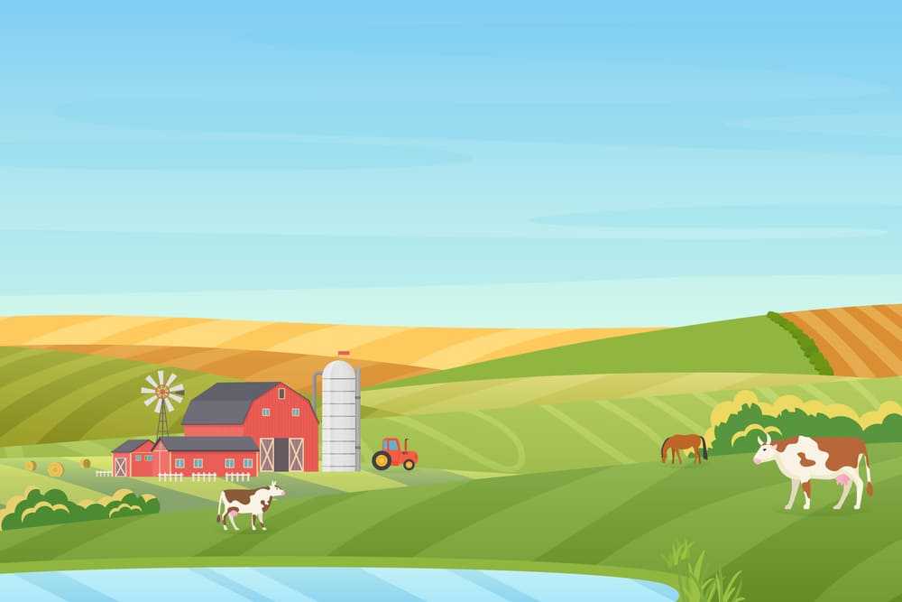 Fazenda com seguro rural