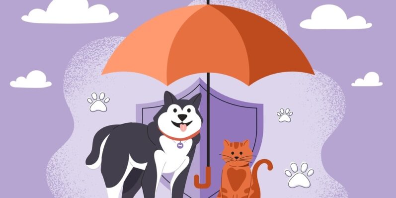Seguro para pet ou plano pet: o que é, importância e dicas