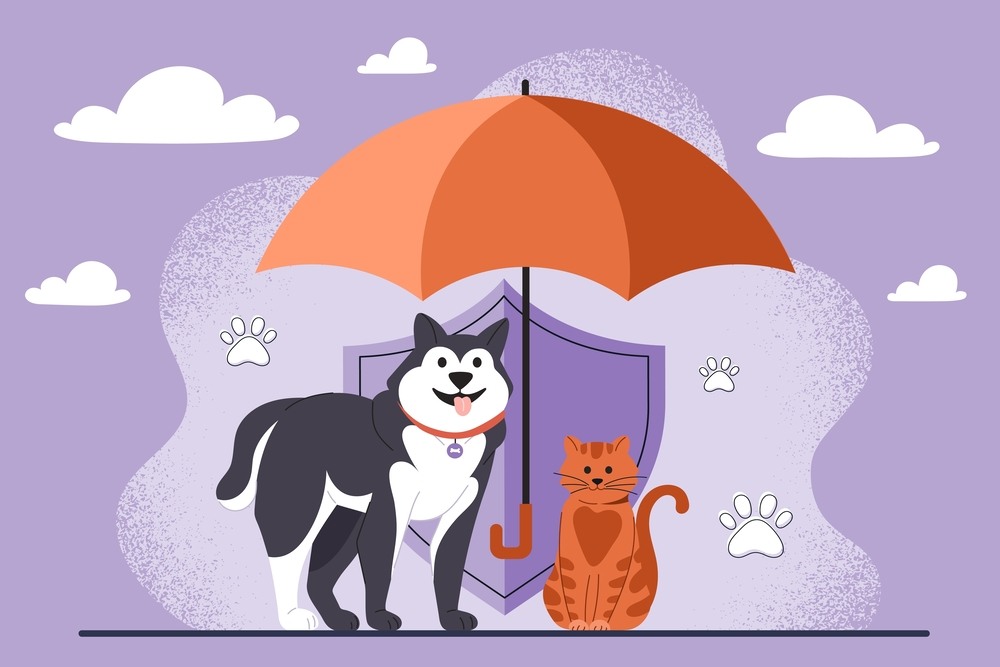Seguro para pet ou plano pet: o que é, importância e dicas